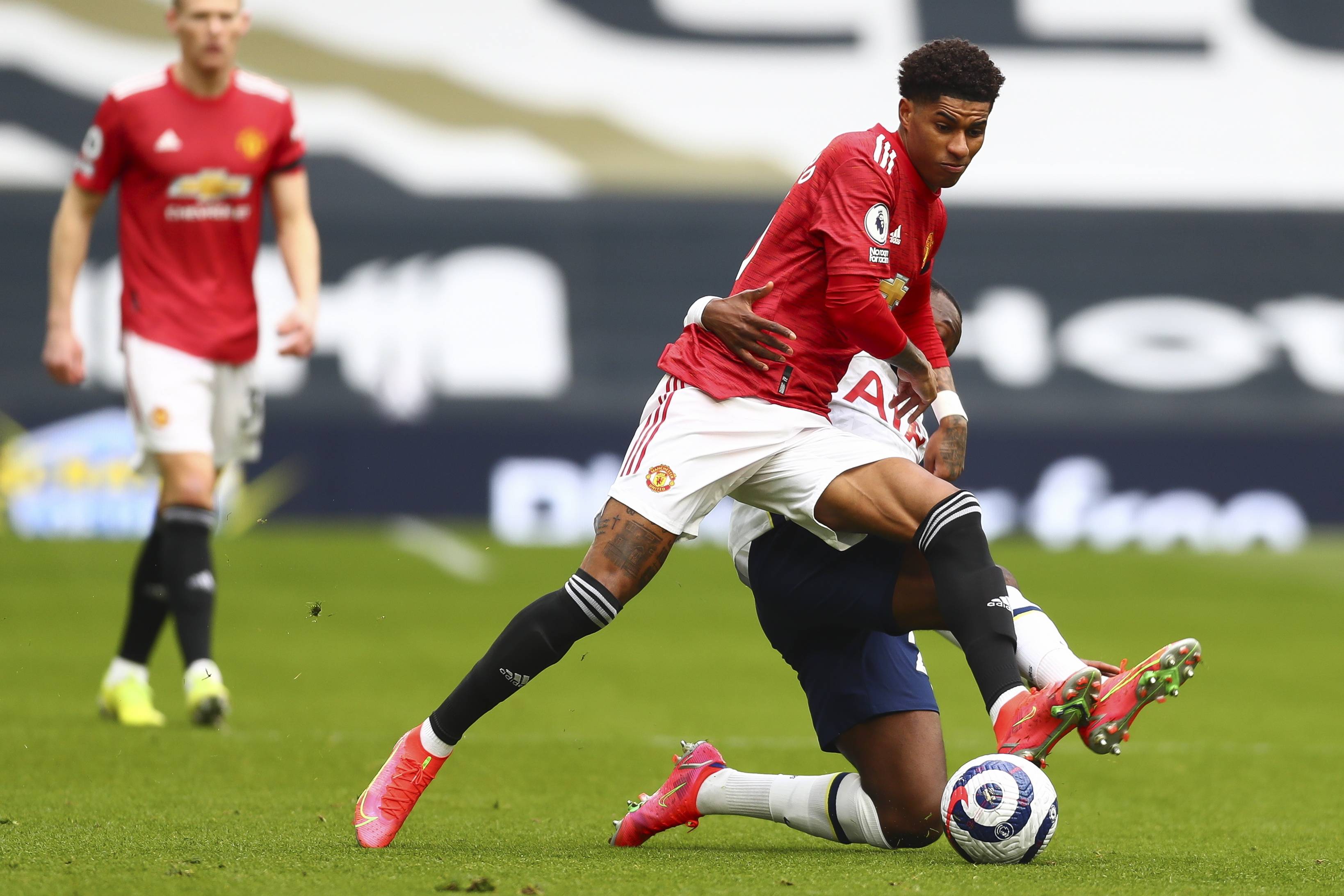 博洛尼亚的 博洛尼亚的